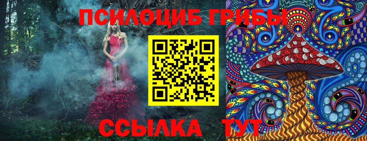 Псилоцибиновые грибы Cubensis  где найти наркотики  Лесосибирск  Вход с VPN 
